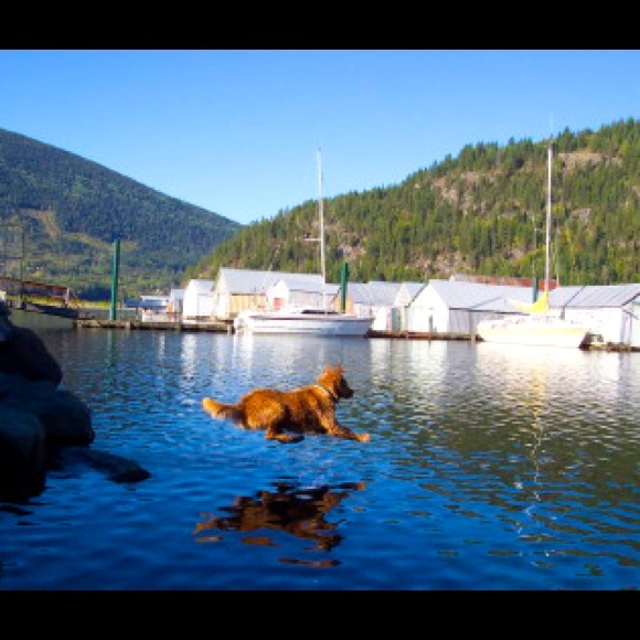 Meet your Posher, Tricia - Picture 1 of 1